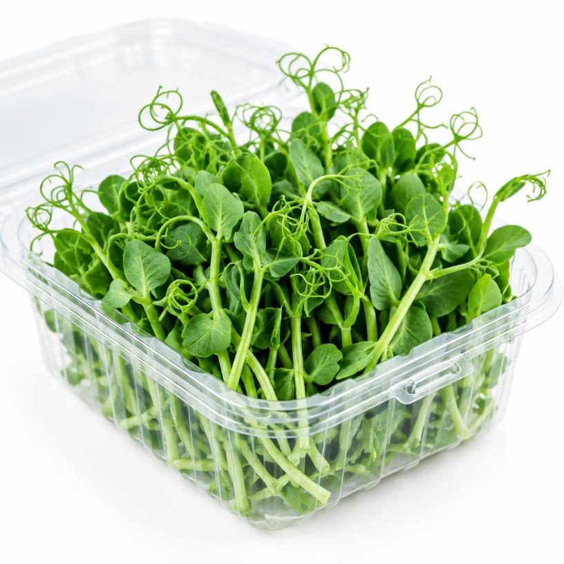 Pea Shoots